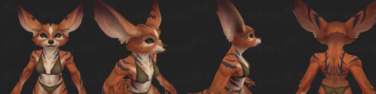 ears 1f.jpg
